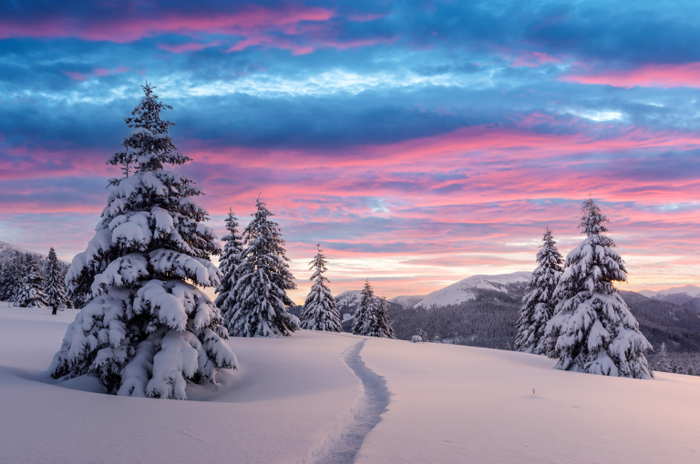 Lapland deals hero — Santa’s Lapland special offers in a snowy landscape.