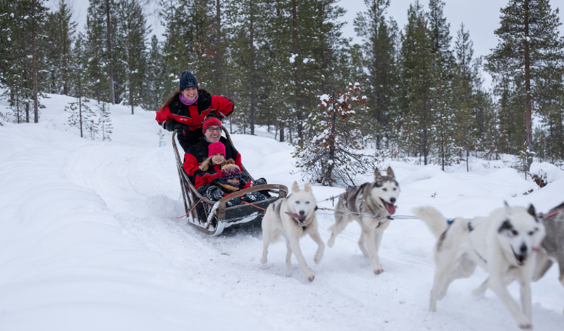 Family enjoying a husky sled ride on the Santa’s Magic Lapland short break