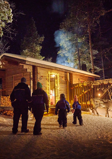 starry night over the Lapland forest